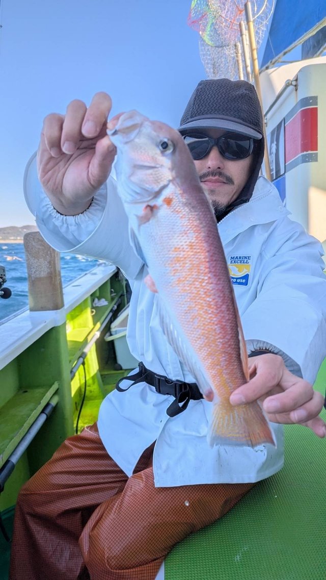 アマダイ(アカアマダイ)