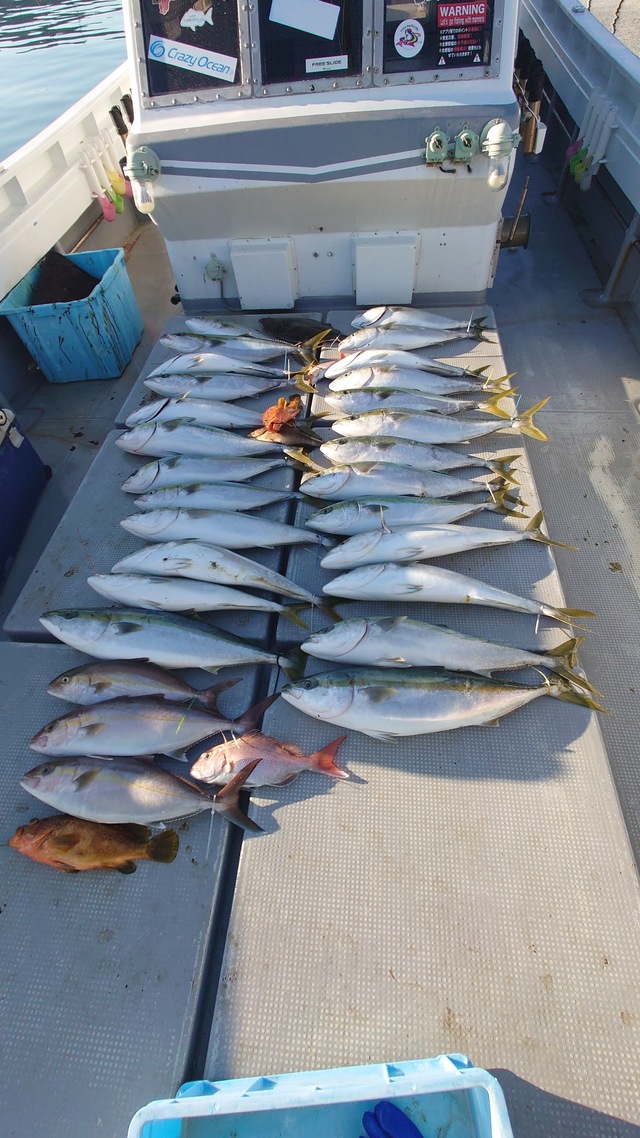 マダイ・ヤズ(ブリ)・ヒラメ・ネリゴ(カンパチ)