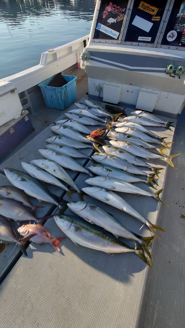 マダイ・ヤズ(ブリ)・ヒラメ・ネリゴ(カンパチ)