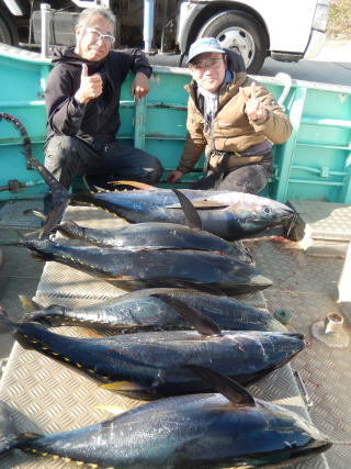 キメジ(キハダ)