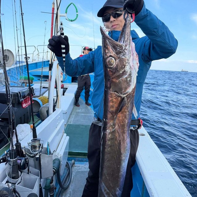 クロシビカマス