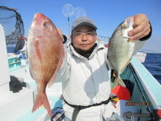 マダイ・カイワリ