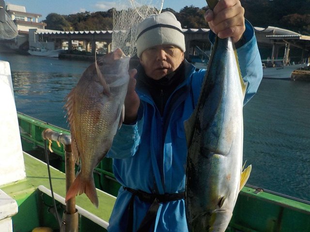 マダイ・ワラサ(ブリ)