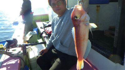 アマダイ(アカアマダイ)