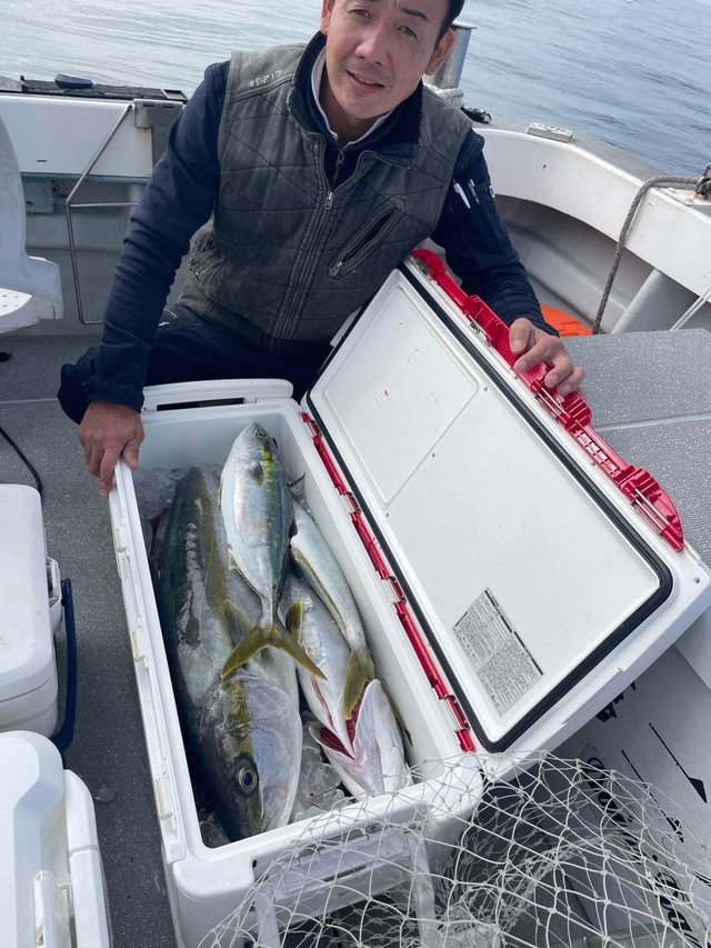 ヤズ(ブリ)・ヒラマサ