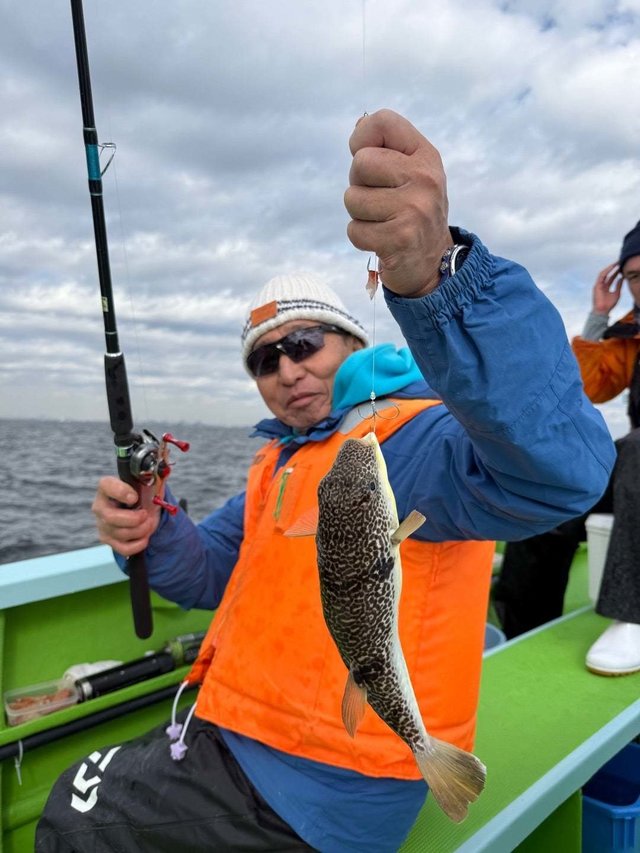 フグ(ショウサイフグ)