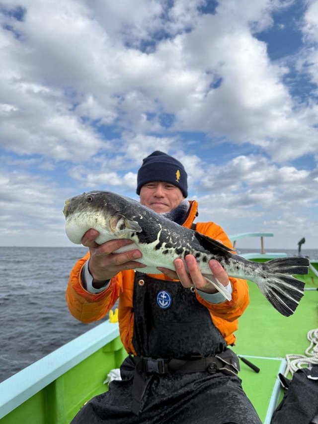 フグ(トラフグ)