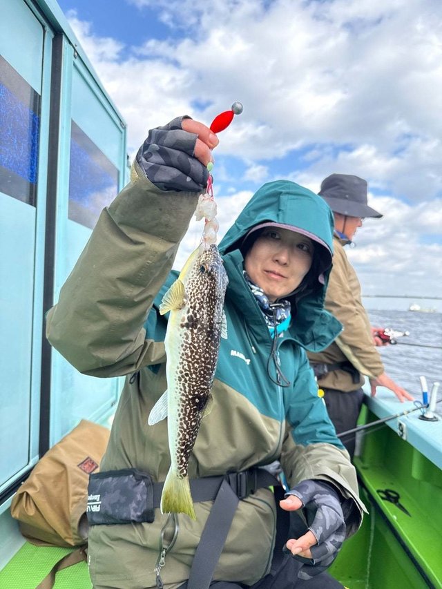 フグ(ショウサイフグ)