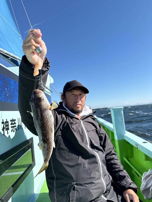 フグ(ショウサイフグ)