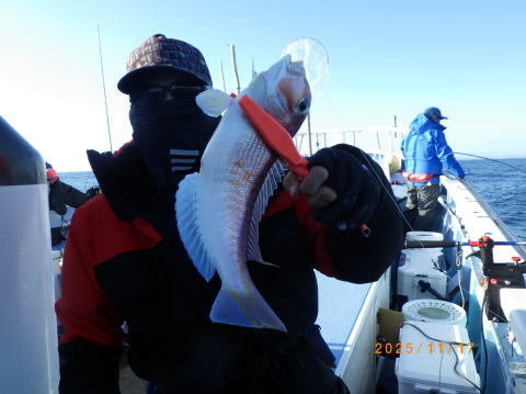 アマダイ(アカアマダイ)