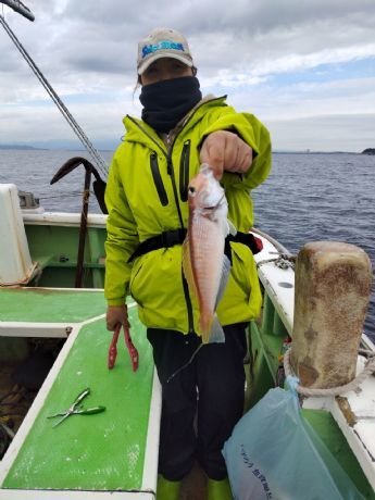 アマダイ(アカアマダイ)