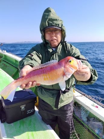 アマダイ(アカアマダイ)