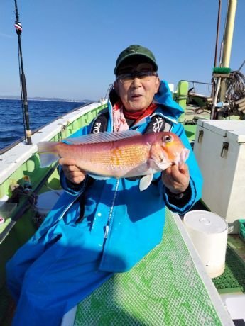 アマダイ(アカアマダイ)