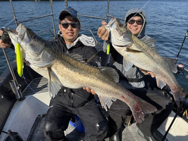 シーバス(スズキ)