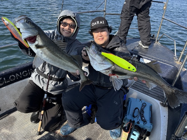 シーバス(スズキ)