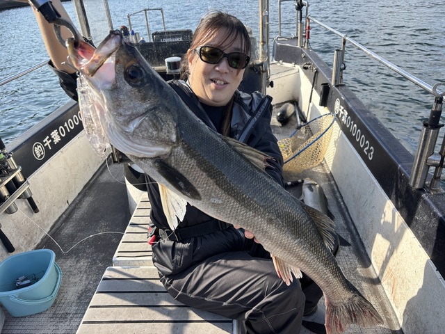 シーバス(スズキ)