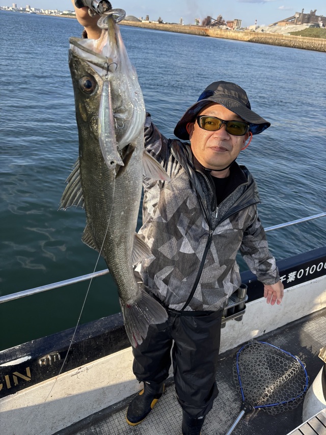 シーバス(スズキ)