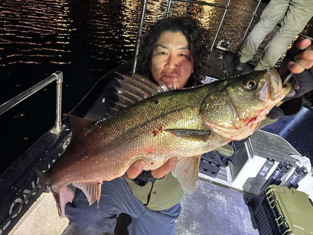 シーバス(スズキ)