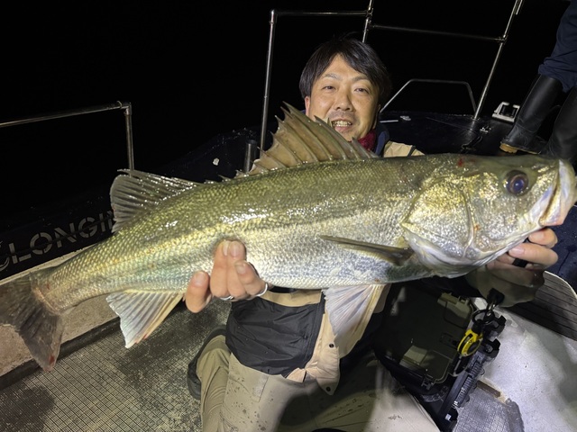 シーバス(スズキ)