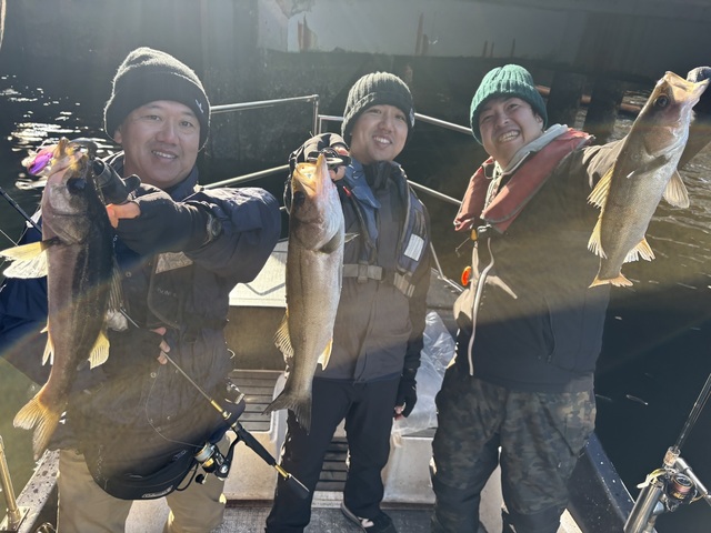 シーバス(スズキ)