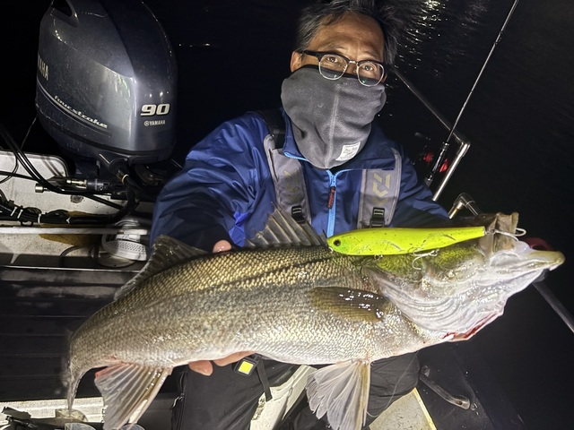 シーバス(スズキ)