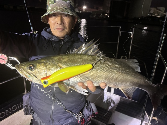 シーバス(スズキ)