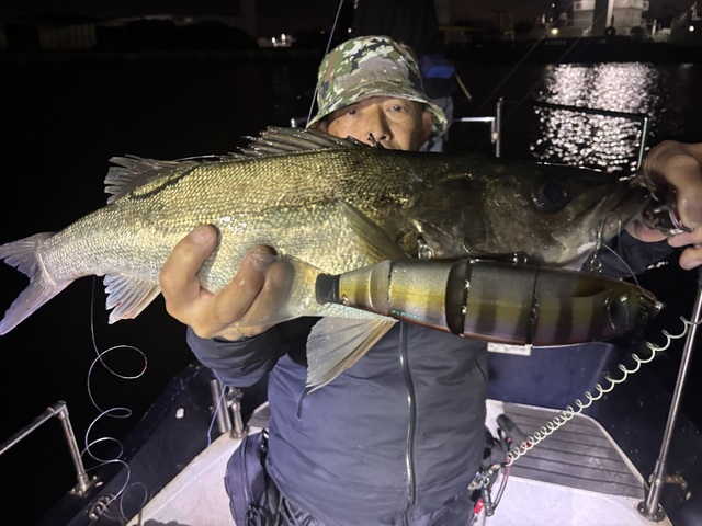 シーバス(スズキ)