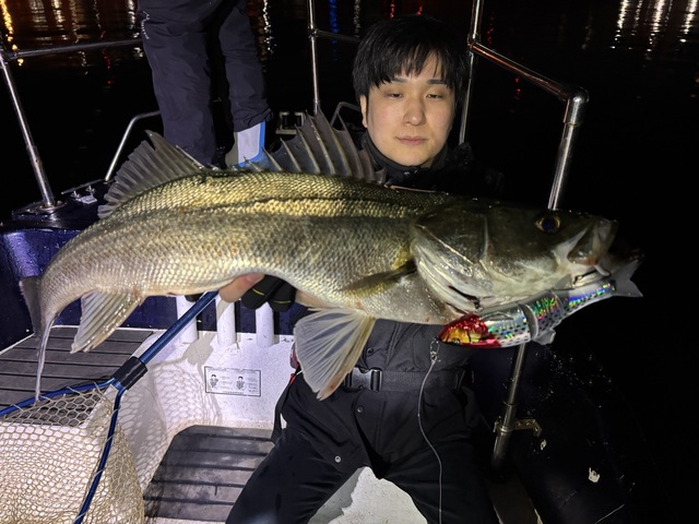 シーバス(スズキ)