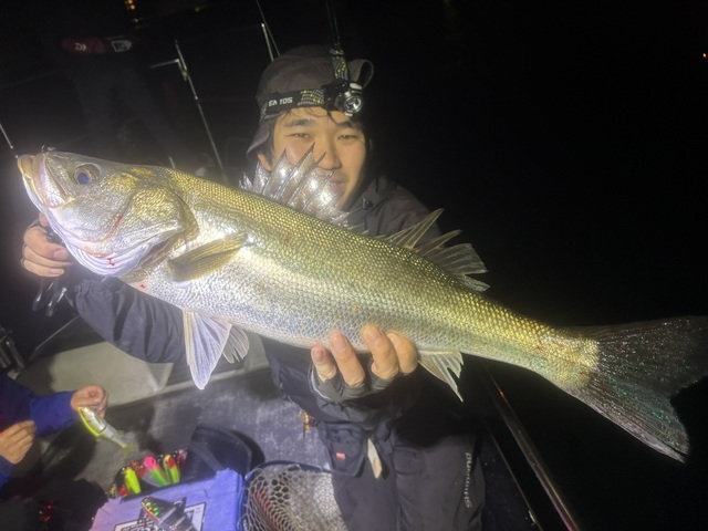 シーバス(スズキ)