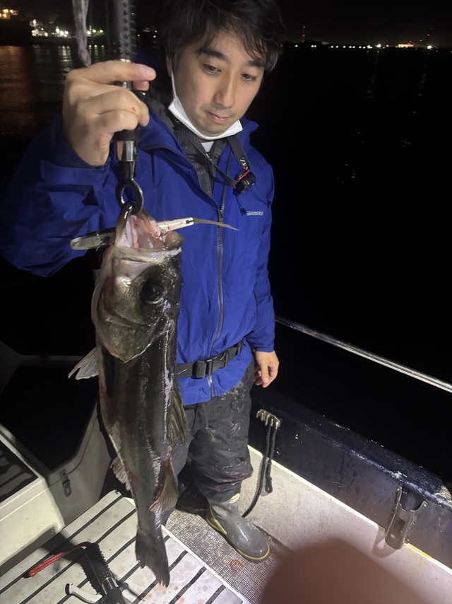 シーバス(スズキ)