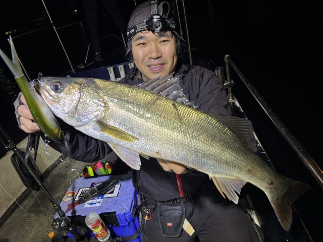 シーバス(スズキ)