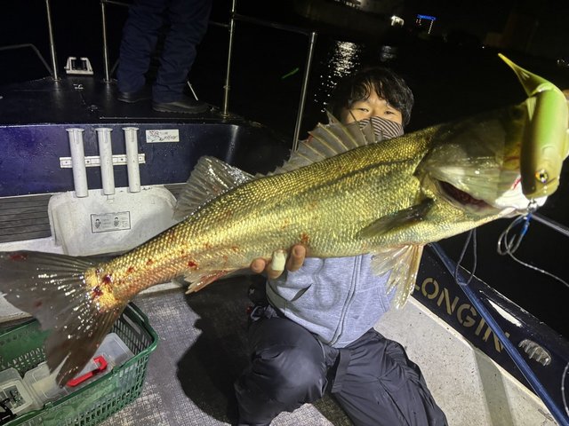 シーバス(スズキ)