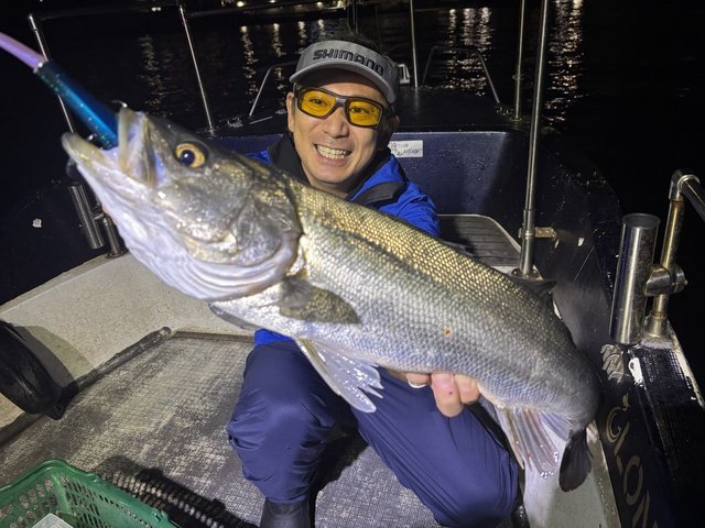 シーバス(スズキ)