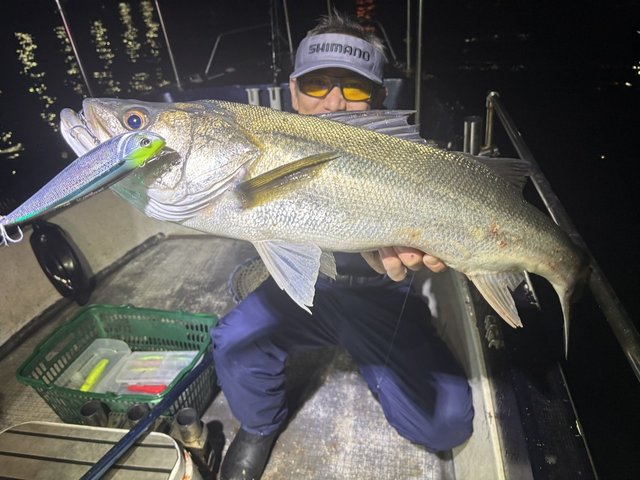 シーバス(スズキ)