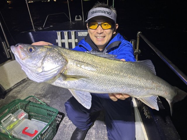 シーバス(スズキ)