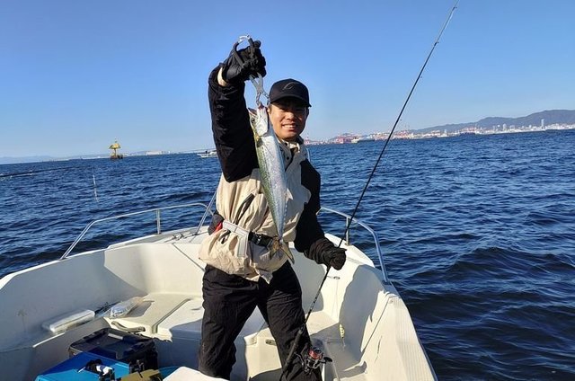 サゴシ(サワラ)