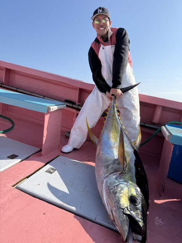 キハダマグロ(キハダ)