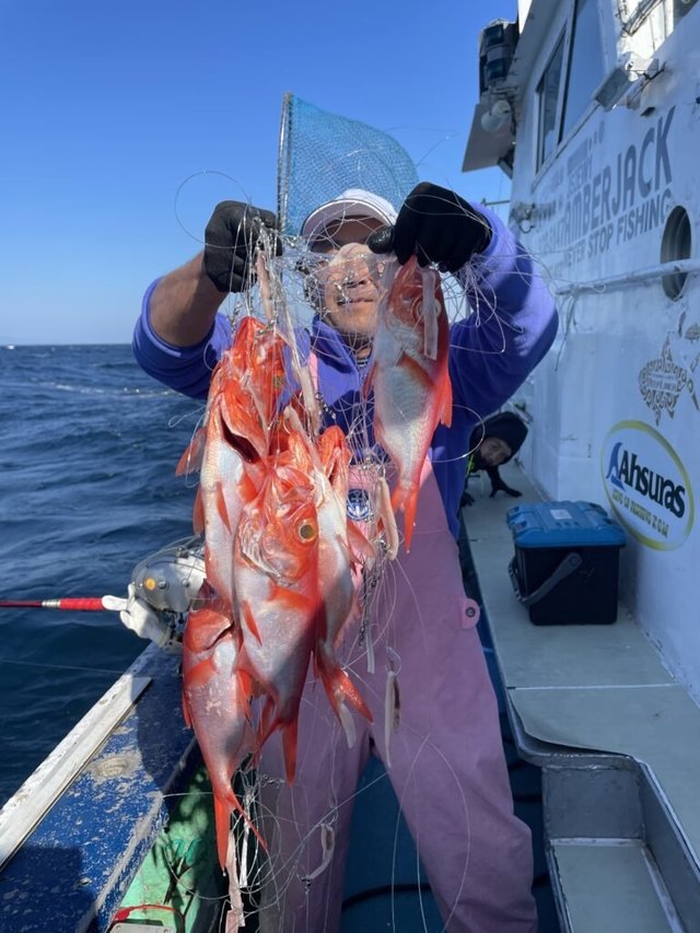 キンメ(キンメダイ)