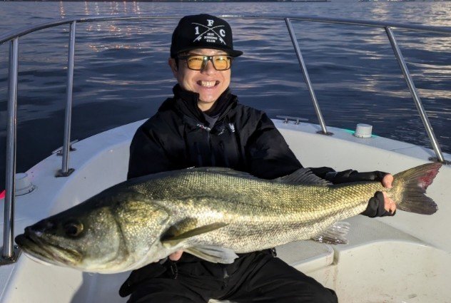 シーバス(スズキ)