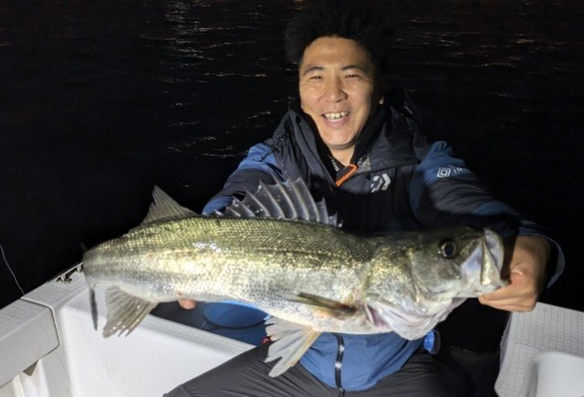 シーバス(スズキ)