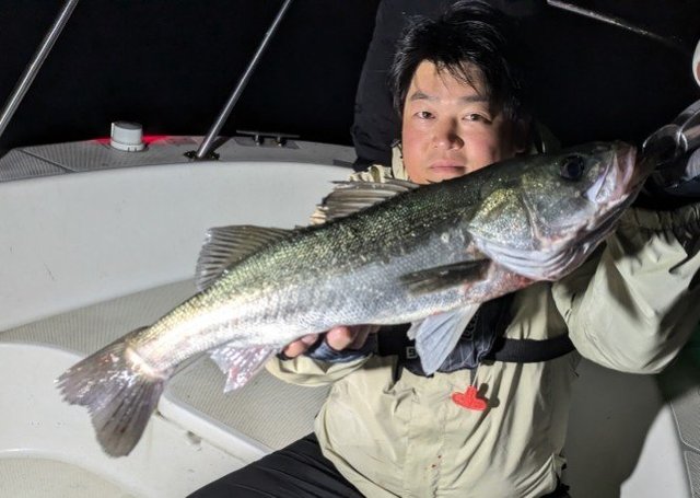 シーバス(スズキ)