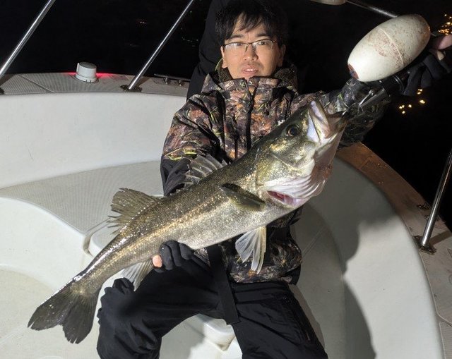 シーバス(スズキ)