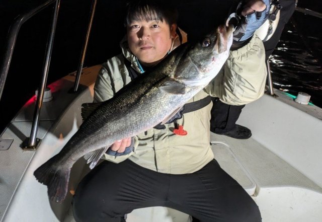 シーバス(スズキ)