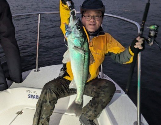 シーバス(スズキ)