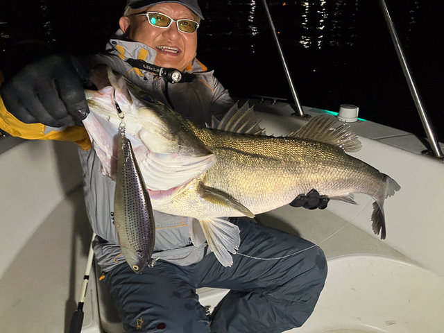 シーバス(スズキ)