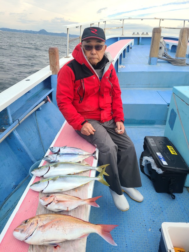 マダイ・イナダ(ブリ)