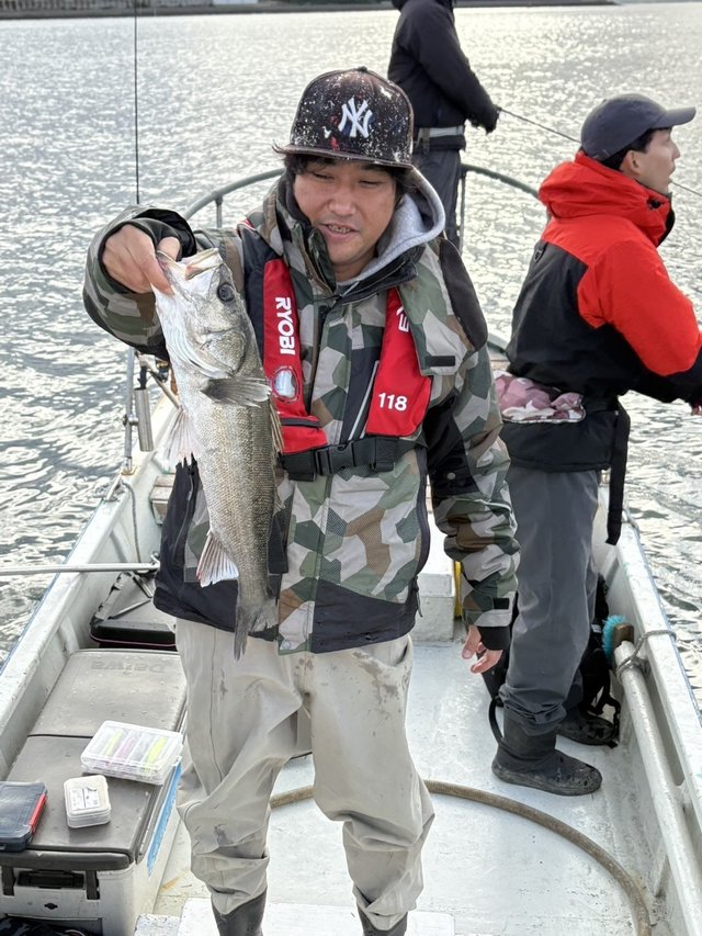 シーバス(スズキ)