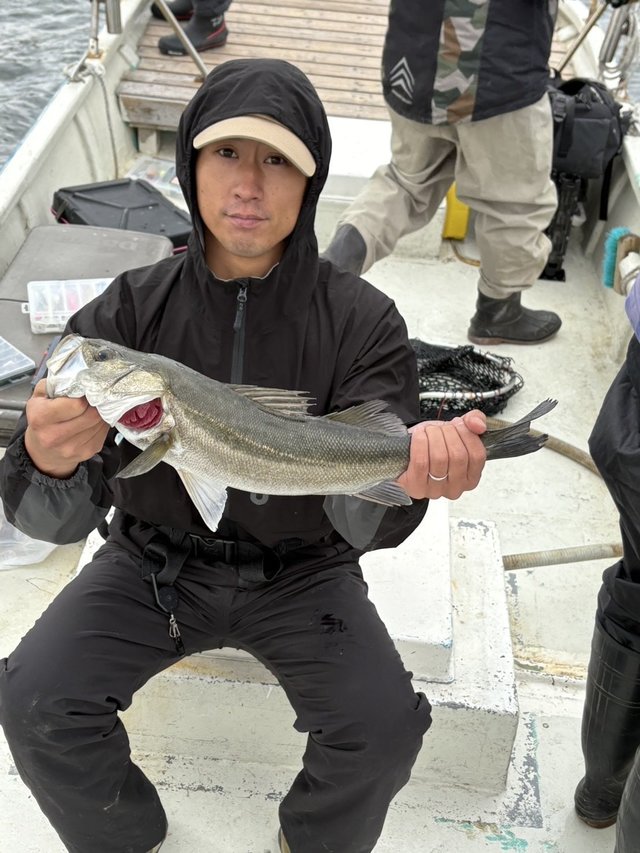 シーバス(スズキ)