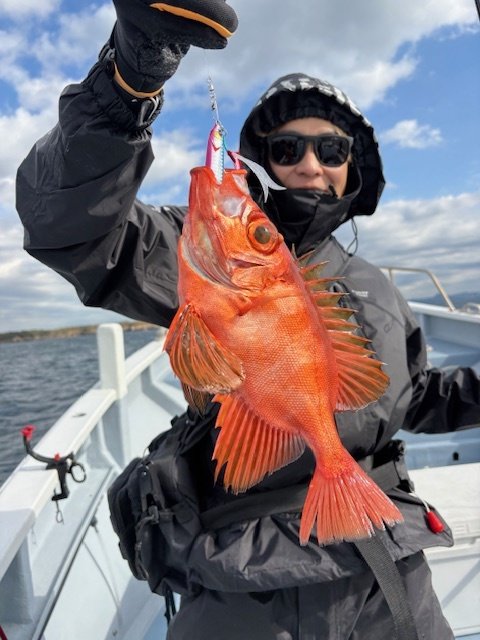 キントキ(チカメキントキ)