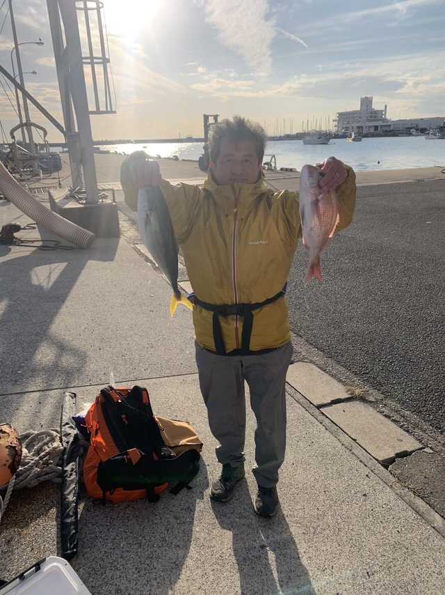 マダイ・イナダ(ブリ)